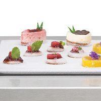 PolyScience Anti-Griddle оборудование для моментальной заморозки