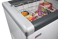 Морозильный ларь Frostor FG 350 C