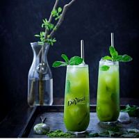 Сироп для кофе и коктейлей Davinci Gourmet Мята Садовая 1 л