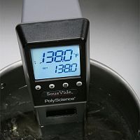 PolyScience Sous Vide Pro CHEF SERIES ротационный кипятильник