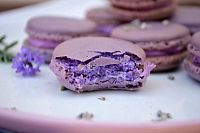 Сироп для кофе и коктейлей Herbarista Lavender (Лаванда) 250 мл