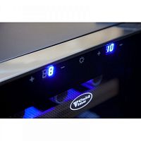 Винный шкаф Cold Vine C12-TSF2
